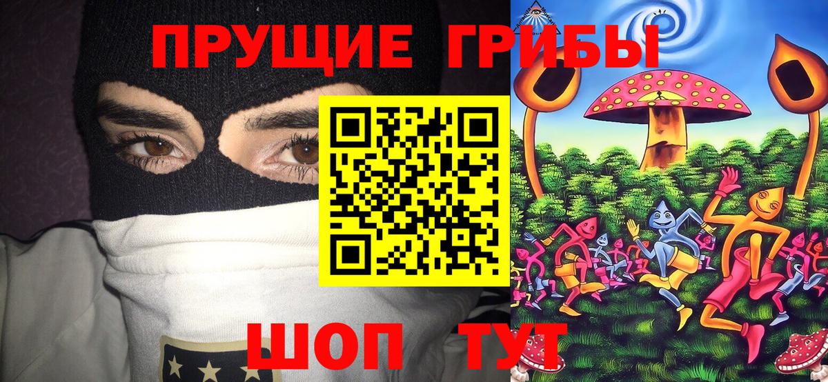 Новозыбков  Галлюциногенные грибы мухоморы  Вход с VPN 