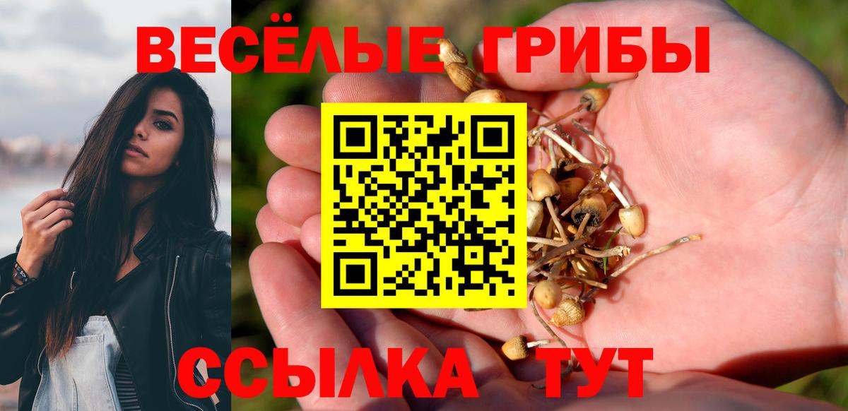Псилоцибиновые грибы GOLDEN TEACHER Новозыбков